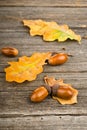 Wooden autumn background with yellow leaves