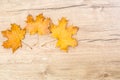 Vintage leaves on wooden table top, seasonal concept
