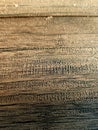 the wooden background abstract wallpaper. vintage, closeup, textue, pattern.