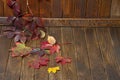 Wooden background with autumnal leaves