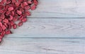 Wooden background from boards of blue and white color with dried rose petals in top the corner. The texture of the Royalty Free Stock Photo