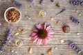 Backgrond with essential oil bottles with frankincense, echinacea, myrrh and lavender flowers Royalty Free Stock Photo