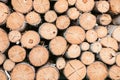 Wooden background - closeup. Firewood for the winter, stacks of firewood, pile of firewood. Firewood prepared for winter. Royalty Free Stock Photo