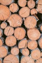 Wooden background - closeup. Firewood for the winter, stacks of firewood, pile of firewood. Firewood prepared for winter. Royalty Free Stock Photo