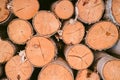 Wooden background - closeup. Firewood for the winter, stacks of firewood, pile of firewood. Firewood prepared for winter. Royalty Free Stock Photo