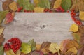 Wooden background with colorful fall leaves arrangement. Copy space