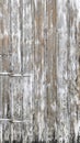 Wooden background Distressed wood texture white gray colored Royalty Free Stock Photo