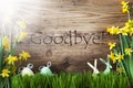 Sunny Easter Decoration, Gras, Text Goodbye