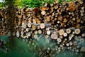 Wooden background. Firewood stack for the background. A lot of cutted logs. Stack of sawn logs. Natural wooden decor