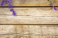 Wooden background with flowers Royalty Free Stock Photo