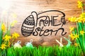 Sunny Easter Decoration, Calligraphy Frohe Ostern Means Happy Easter