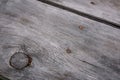 Wooden background. Gray board with rusty nails, close-up. Old wood, surface, texture, abstract image Royalty Free Stock Photo