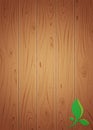 Wooden background with green leaf. Wood plank texture