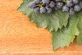 Wooden background with leaf and fresh grape Royalty Free Stock Photo