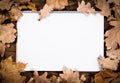 Wooden background with leaves and notebook