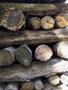 Wooden background. Macro wood cross section. Closeup of round slice of tree with annual rings and cracks Royalty Free Stock Photo