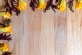 Wooden background with pumpkin flowers and purple epazote, for copy space