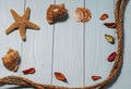 Wooden background with starfish, sea shells and marine rope Royalty Free Stock Photo