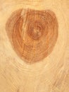 Sawn wood texture with circles and core Royalty Free Stock Photo