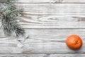 Wooden background. White painted. branch of green fir. Orange. Space for Christmas or New Year. Royalty Free Stock Photo