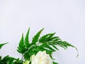 wooden background or white walls decorated with white flowers and green leaves with white space