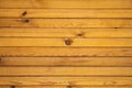 Wooden background. Wooden planks yellow with knots