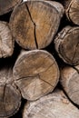 Wooden background with woodlog of tree Royalty Free Stock Photo