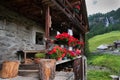 Wooden balcony full of red flowers with Mountains and waterfull on background