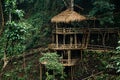 Wooden bamboo hovel house in forest