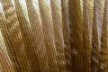 Wooden bamboo mat texture abstract background Royalty Free Stock Photo