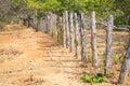 Wooden barbed wire fence in red brown land