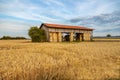 Wooden barn open house with stacked  dry hay bales surrounded by golden wheat field with blue sky on horizont Royalty Free Stock Photo