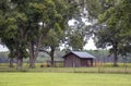 A wooden barn sits in a pecan orchard against a background of a cotton field and pine plantation in rural Georgia