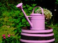 Wooden barrel with pink metal ring straps and watering can on top Royalty Free Stock Photo