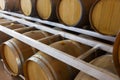 Wooden barrels at contemporary wine actory Royalty Free Stock Photo