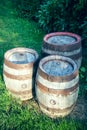 Wooden barrels in a meadow Royalty Free Stock Photo