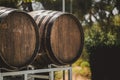 Wooden barrels with red and wihte wine for tasting on the vineyard. Copy space for text and design