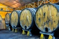 Wooden barrels in rows at contemporary cider actory. Asturias. Spain Royalty Free Stock Photo