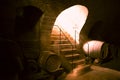 Wooden barrels in a wine cellar Royalty Free Stock Photo