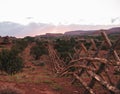 Wooden barricade in the wilderness under a sunny sky