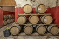 Wooden barriques for wine aging are arranged on three levels in a Tuscan cellar Royalty Free Stock Photo