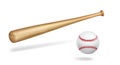 Wooden baseball bat and ball realistic vector