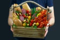 wooden basket with food, bread, cheese, sausage, crayfish, greens Royalty Free Stock Photo