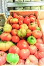 A wooden basket full of tomatoes fresh Royalty Free Stock Photo