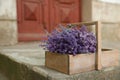 Wooden basket with lavender flowers near building Royalty Free Stock Photo