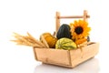 Wooden basket ornamental gourds and grain Royalty Free Stock Photo