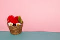 wooden basket with red egg and red feather and natural decoration on pastel pink blue background Royalty Free Stock Photo