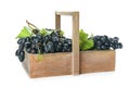 Wooden basket with ripe sweet grapes on white background Royalty Free Stock Photo