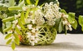 Wooden basket and a spring bouquet of white wildflowers. A house and a garden