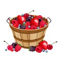 Wooden basket with various berries. Vector illustration.